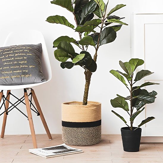 Cache pots | Design Élégant - Mon Essentiel Maison